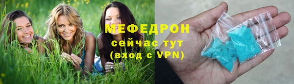 тгк Дмитриев