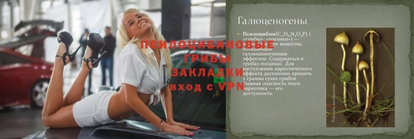 тгк Дмитриев