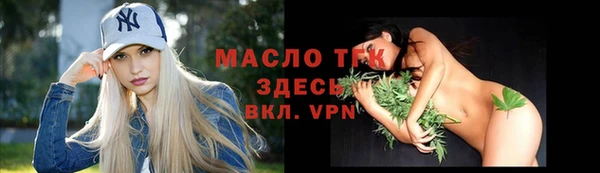 тгк Дмитриев