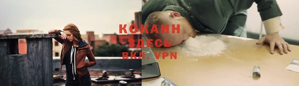 тгк Дмитриев