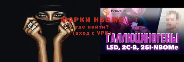 тгк Дмитриев