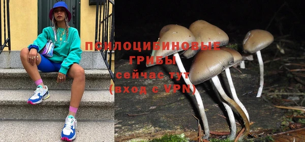 тгк Дмитриев