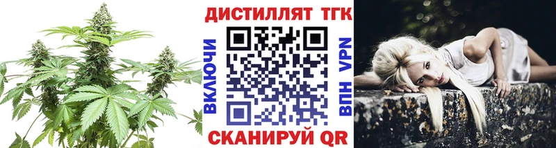 Купить где Кувандык ТГК концентрат