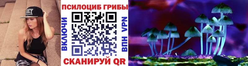 Галлюциногенные грибы Magic Shrooms  Купить  Кувандык 